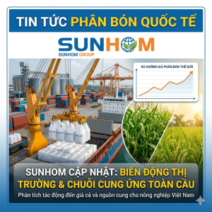 sunhom-cam-ket-chat-luong-dao-duc-kinh-doanh-quoc-te
