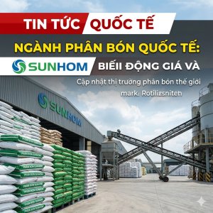 cau-noi-vang-cho-doanh-nghiep-viet-vuon-tam-quoc-te