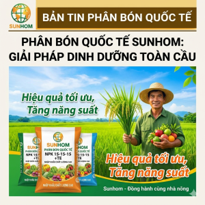 quy-trinh-dich-vu-tai-sunhom-chuyen-nghiep-minh-bach-hieu-qua
