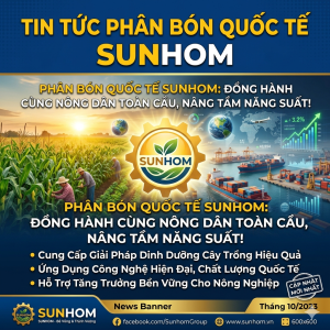cong-ty-quoc-te-sunhom-tam-nhin-chien-luoc-dich-vu-thuong-mai-toan-cau
