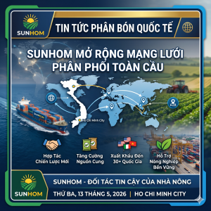 tien-phong-ung-dung-cong-nghe-so-trong-dich-vu-quoc-te