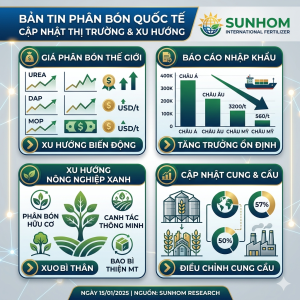 tu-van-chien-luoc-phat-trien-thi-truong-quoc-te-ben-vung