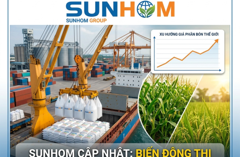SUNHOM: Cam Kết Chất Lượng & Đạo Đức Kinh Doanh Quốc Tế