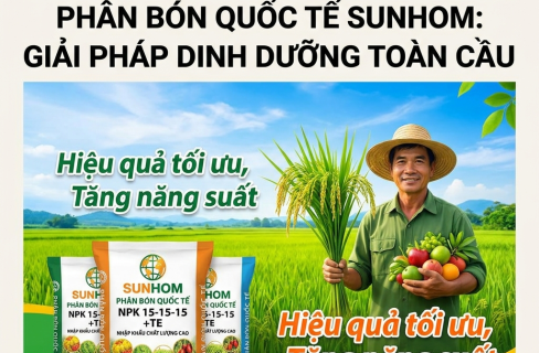 Quy Trình Dịch Vụ Tại SUNHOM: Chuyên Nghiệp – Minh Bạch – Hiệu Quả
