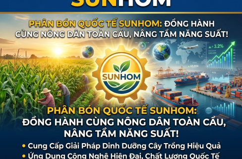 Công ty Quốc tế SUNHOM: Tầm Nhìn Chiến Lược & Dịch Vụ Thương Mại Toàn Cầu