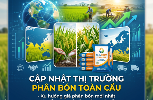 Đón Đầu Xu Hướng Giao Thương Quốc Tế Trong Kỷ Nguyên Số