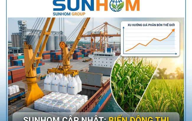 SUNHOM: Cam Kết Chất Lượng & Đạo Đức Kinh Doanh Quốc Tế