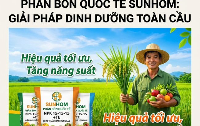 Quy Trình Dịch Vụ Tại SUNHOM: Chuyên Nghiệp – Minh Bạch – Hiệu Quả