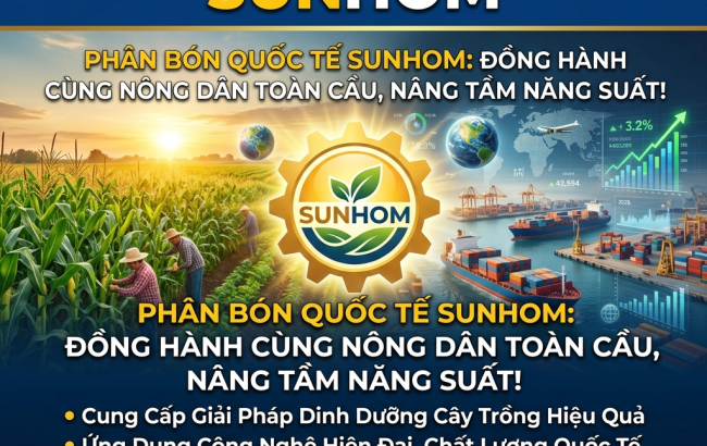 Công ty Quốc tế SUNHOM: Tầm Nhìn Chiến Lược & Dịch Vụ Thương Mại Toàn Cầu